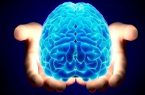 کشف نقش جدید دوپامین در مغز انسان
