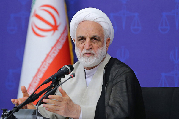 اژه ای: در پرونده نهاده های دامی، وزیر استعفا داد؛ قائم مقامش هم تحت تعقیب قرار گرفت