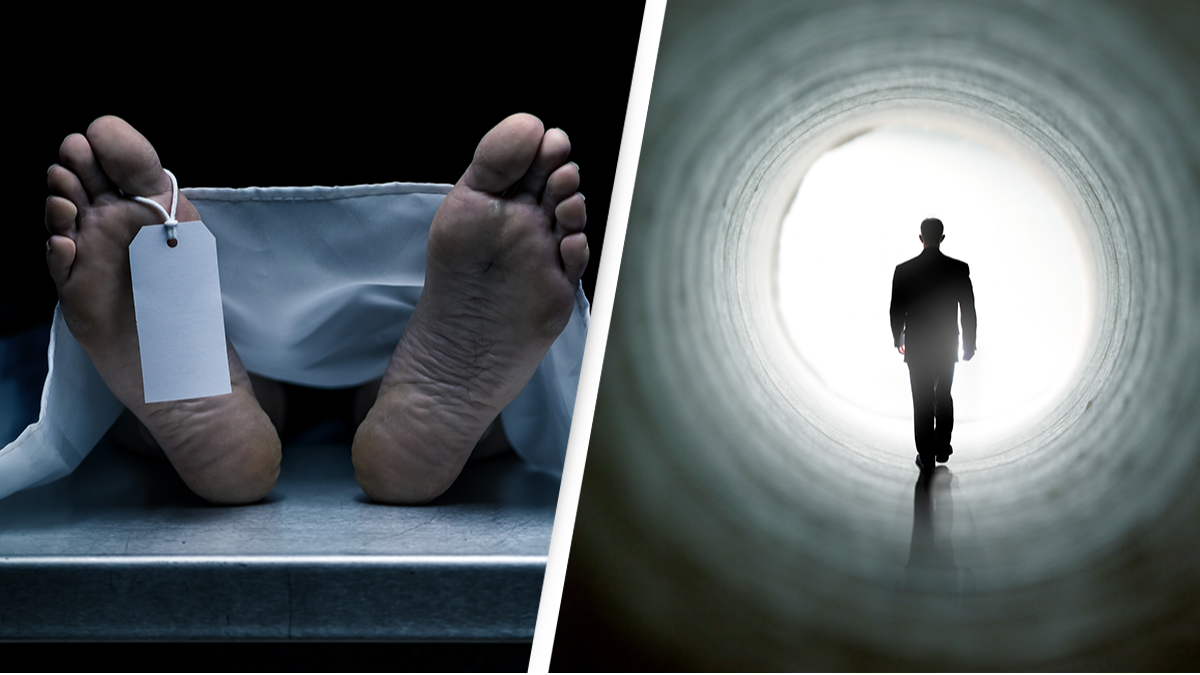 زمان مرگ انسان قابل پیش بینی شد !