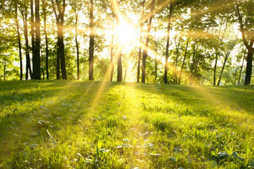 استقبال از زمستان با هوای گرم و آفتابی