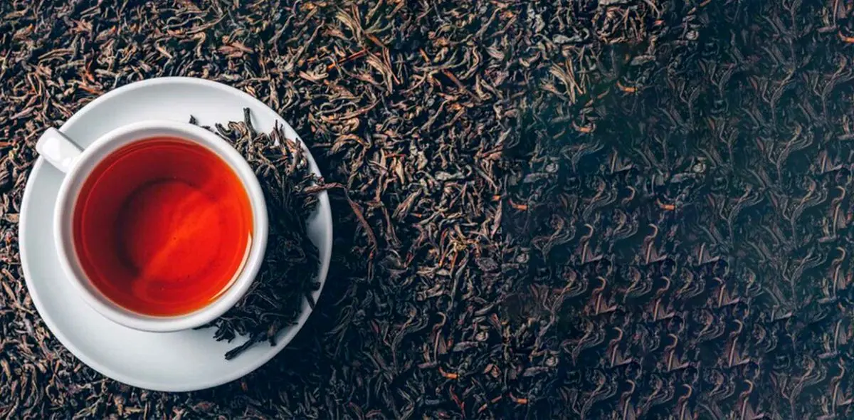 فساد در واردات چای/ مدیران مربوطه برکنار شدند